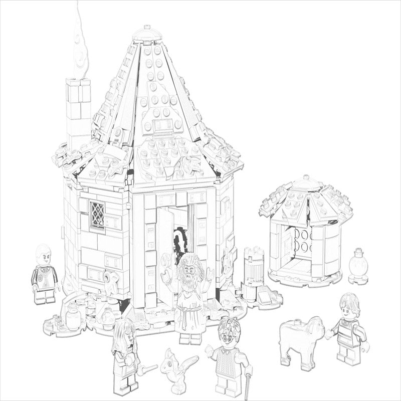 76428 - La Capanna di Hagrid: una visita inattesa