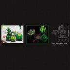 JIESTAR JJ9011 Mini Giardino Botanico Piante Fiori e Cactus per decorare la casa 590PCS